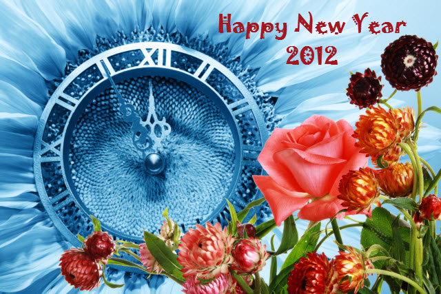 Happy New Year 2012 from SEO Tampa