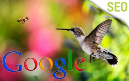hummingbird-Google-SEO