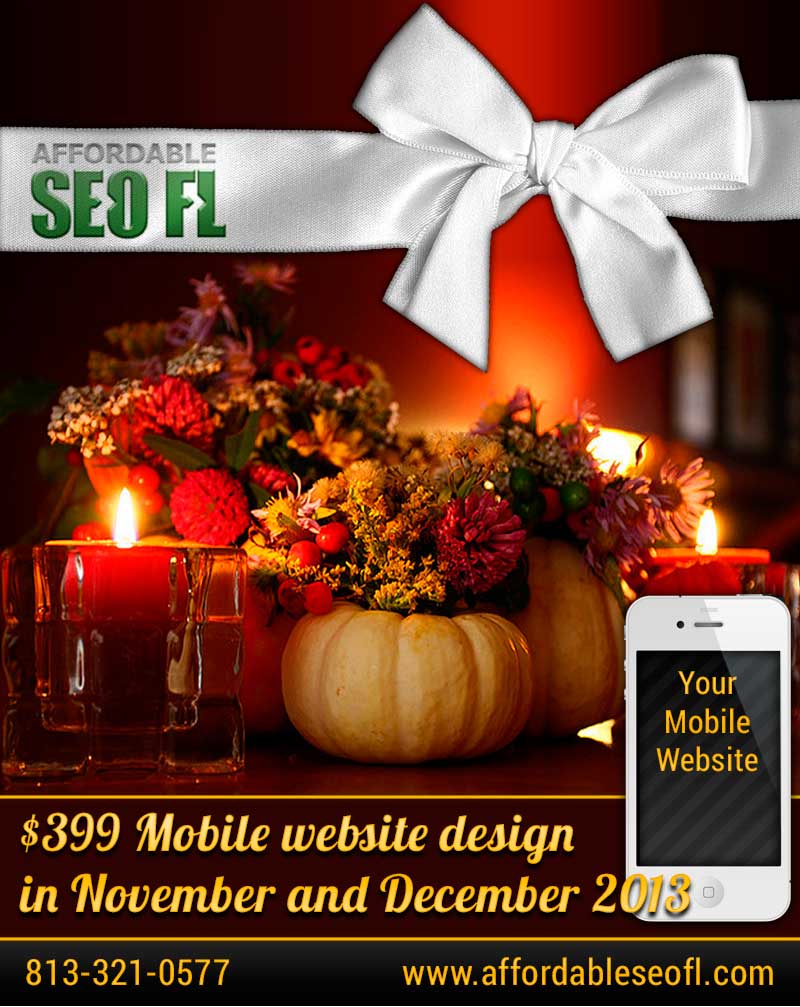 Mobile-website-desin-Tampa-special-November-2013