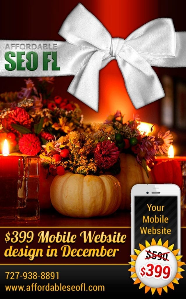 SEO Tampa offers December promo $399 mobile website design