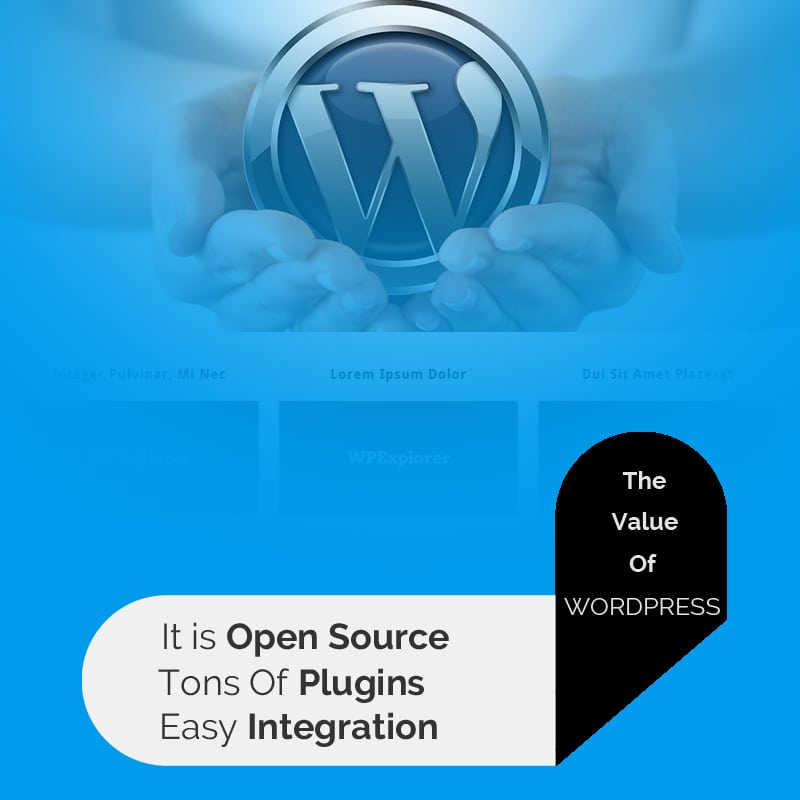 The Value Of WordPress