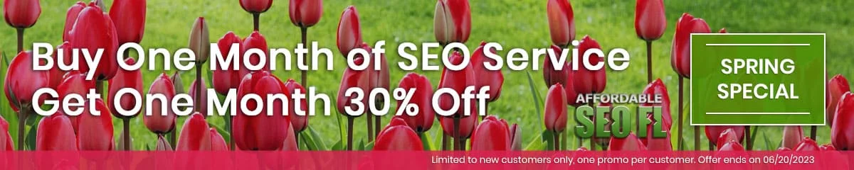 SEO TAMPA CURRENT PROMOTION