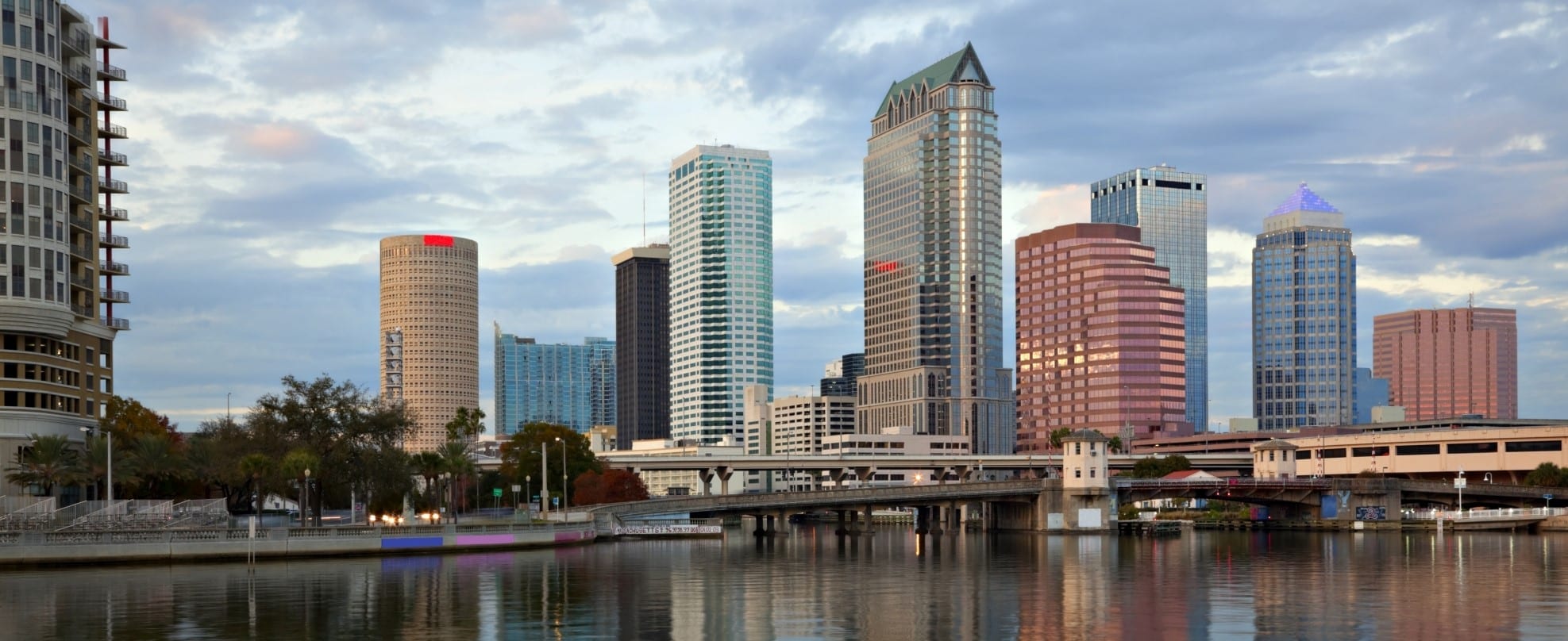 Affordable SEO Company - Tampa office - SEO service for small business