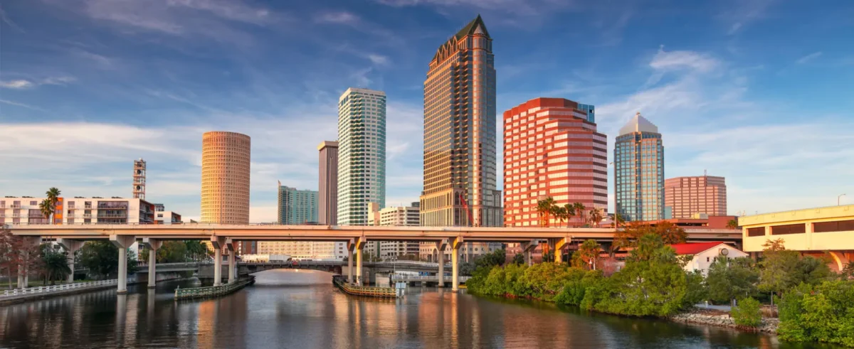 Affordable SEO Company | SEO service in Tampa, FL Local and organic Search Engine Optimization. SEO Company in Tampa FL